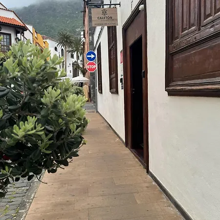 Casa Tradicional Canaria - Chico Semesterbostad